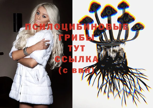 spice Приозерск